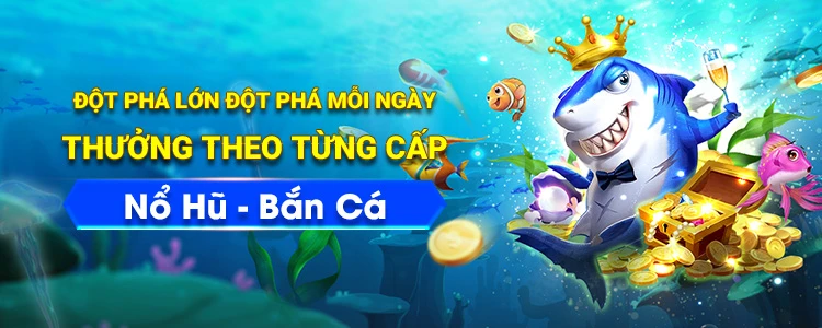 Đá Gà - Truyền Thống và Hiện Đại