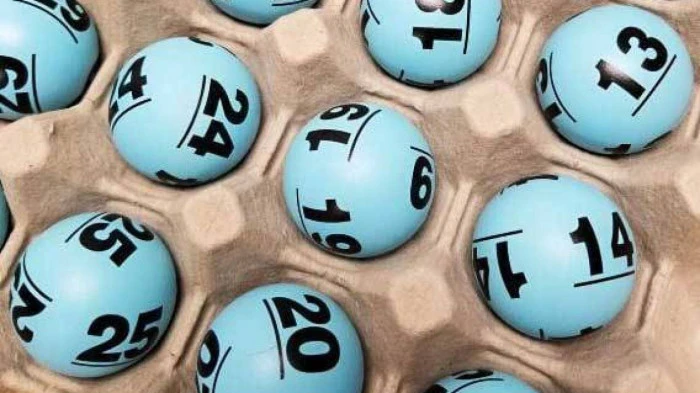 Đá Gà Trực Tiếp: Khám Phá Thế Giới Đá Gà C4 và Hơn Thế Nữa